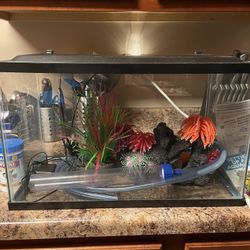GloFish 10 Gallon Fish Tank With Accessories And Extras Included