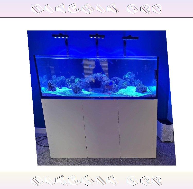 financial office Giant Aquarium Tank - Spacious & Magnificent
