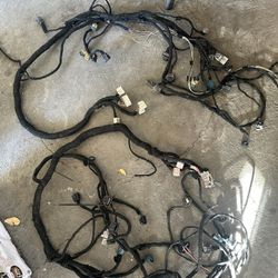 Tacoma Engine Harness 