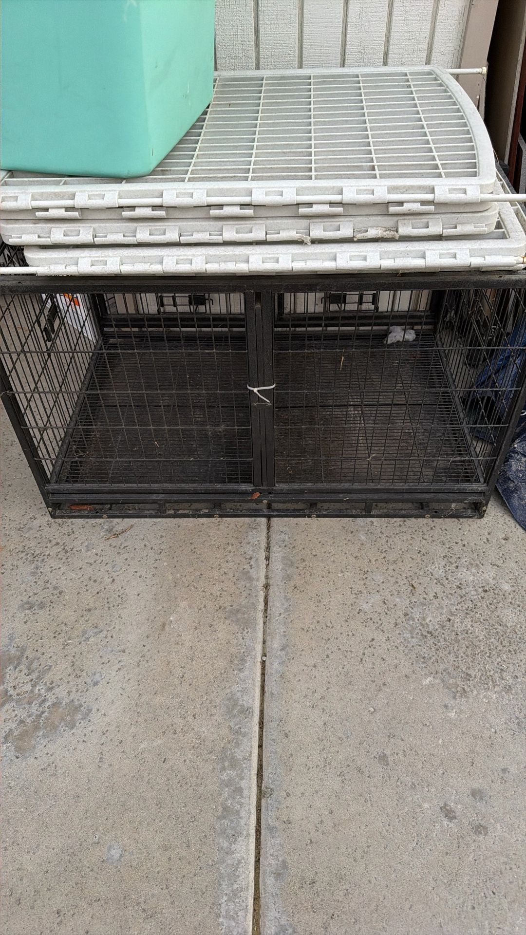 Dog Cage