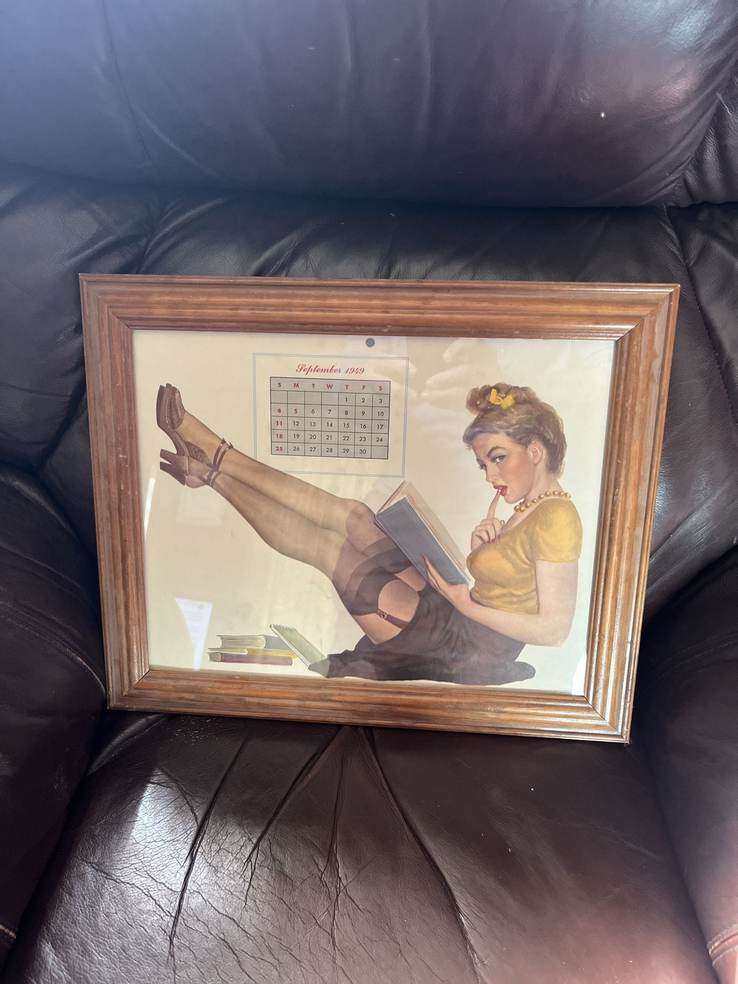 Vintage Framed Pinup 