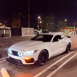 2016 Ford Mustang • EcoBoost Premium