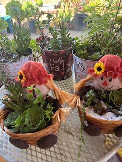 Fall Scarecrow Succulent Basket Planters