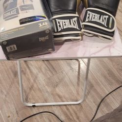 Everlast Boxing Gloves.