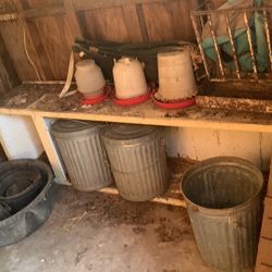 Chicken feeders And Water Troughs