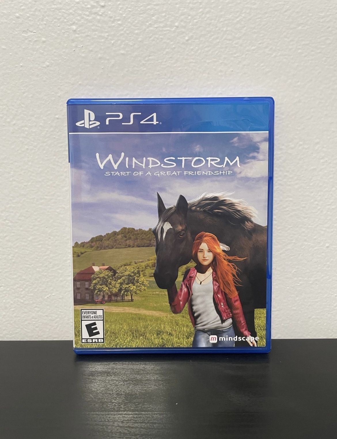 Windstorm Start of A Great Friendship PS4 Sony PlayStation 4 Horse RPG Sim Game