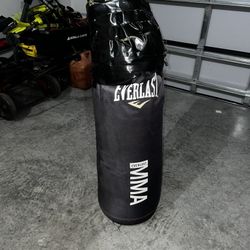 Punching Bag
