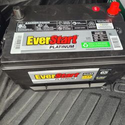 Everstart Platnium Battery Agm Technology New 