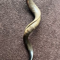 Shofar