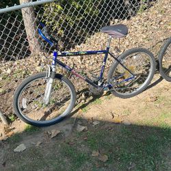 Magna Bike 26