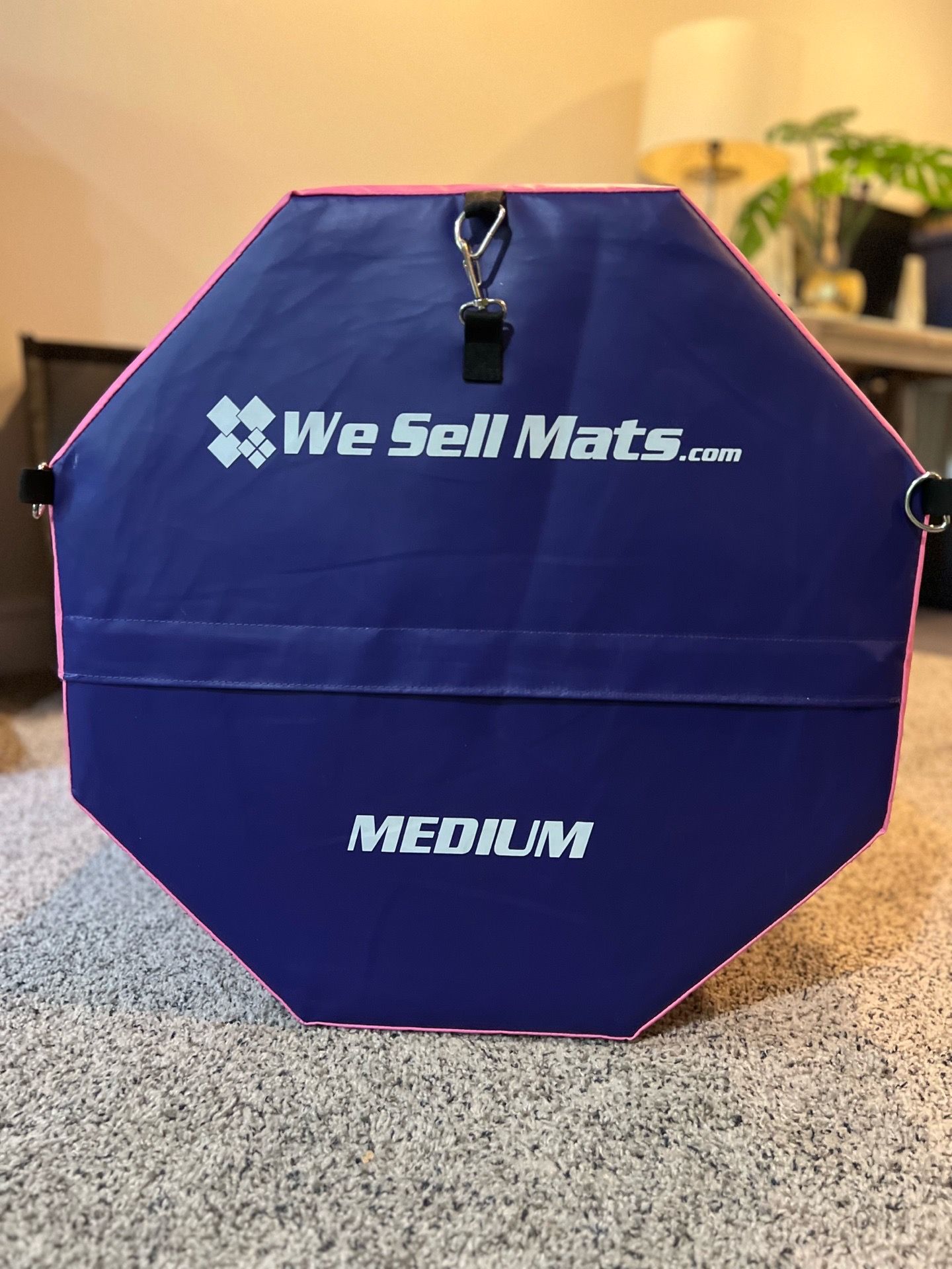 We Sell Mats Gymnastics Octagon + Wedge Trainer Set