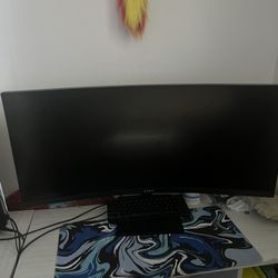 349 Dollar Gaming Monitor 