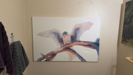 Local photographer who put it on canvass