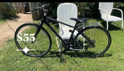 Adult Bike