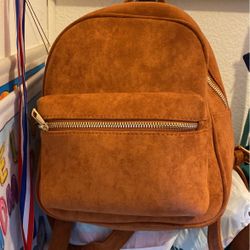 Purse Backpack 