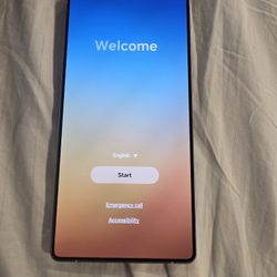 Samsung Galaxy S25 Ultra 