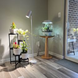 Round wooden pedestal table with glass top