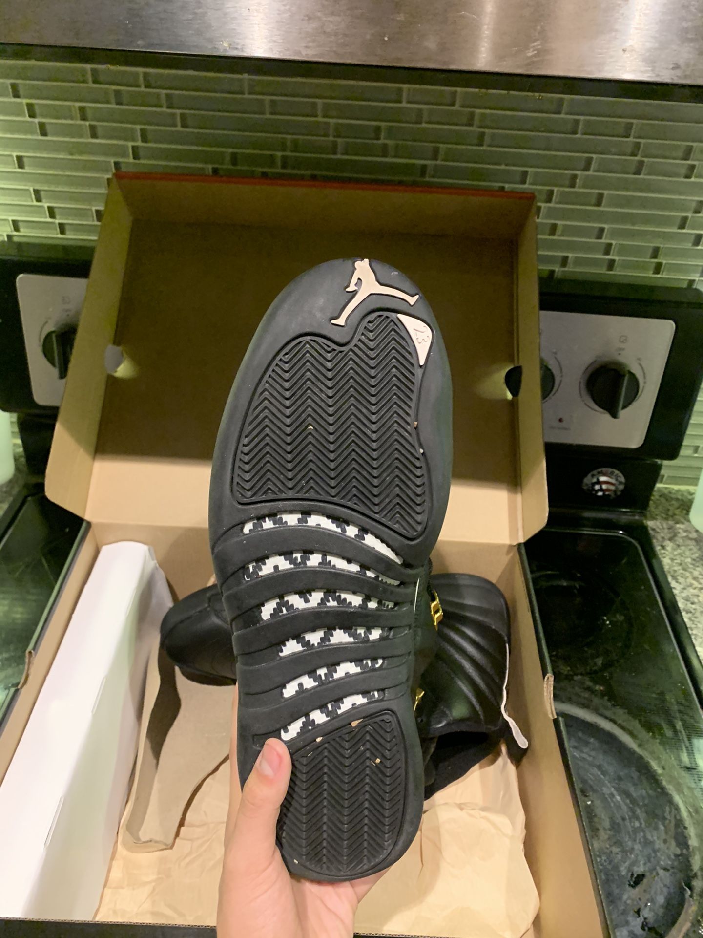 Jordan 12 The Master