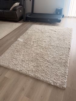 5x7 ft  Laura Ashley Luxury Shag Rug