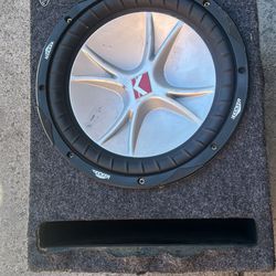 12in Subwoofer 