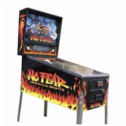 NO FEAR pinball Machine 