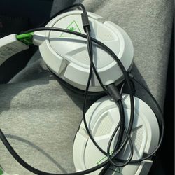 Turtle beaches 