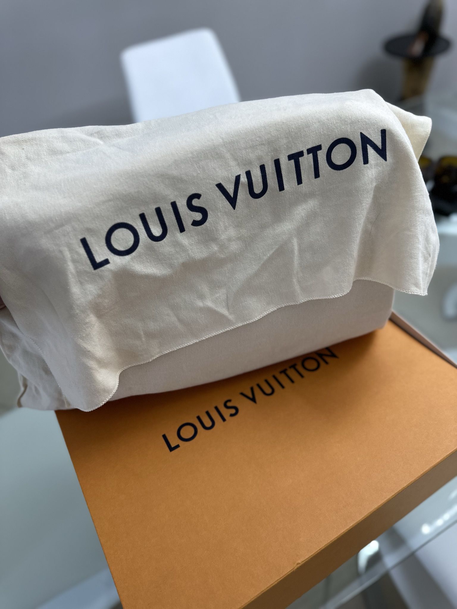 LOUIS VUITTON BACKPACK WHITE for Sale in Halndle Bch, FL - OfferUp