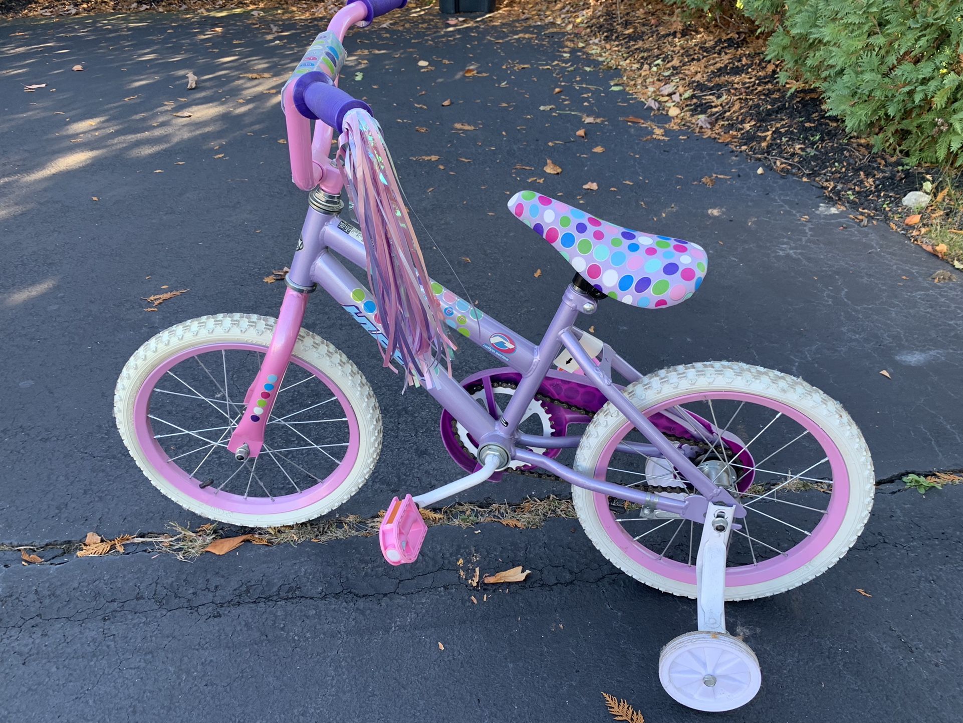 Bike with training wheels
