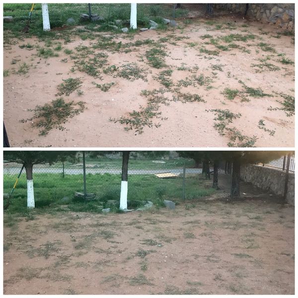 Weed killer for Sale in El Paso, TX OfferUp