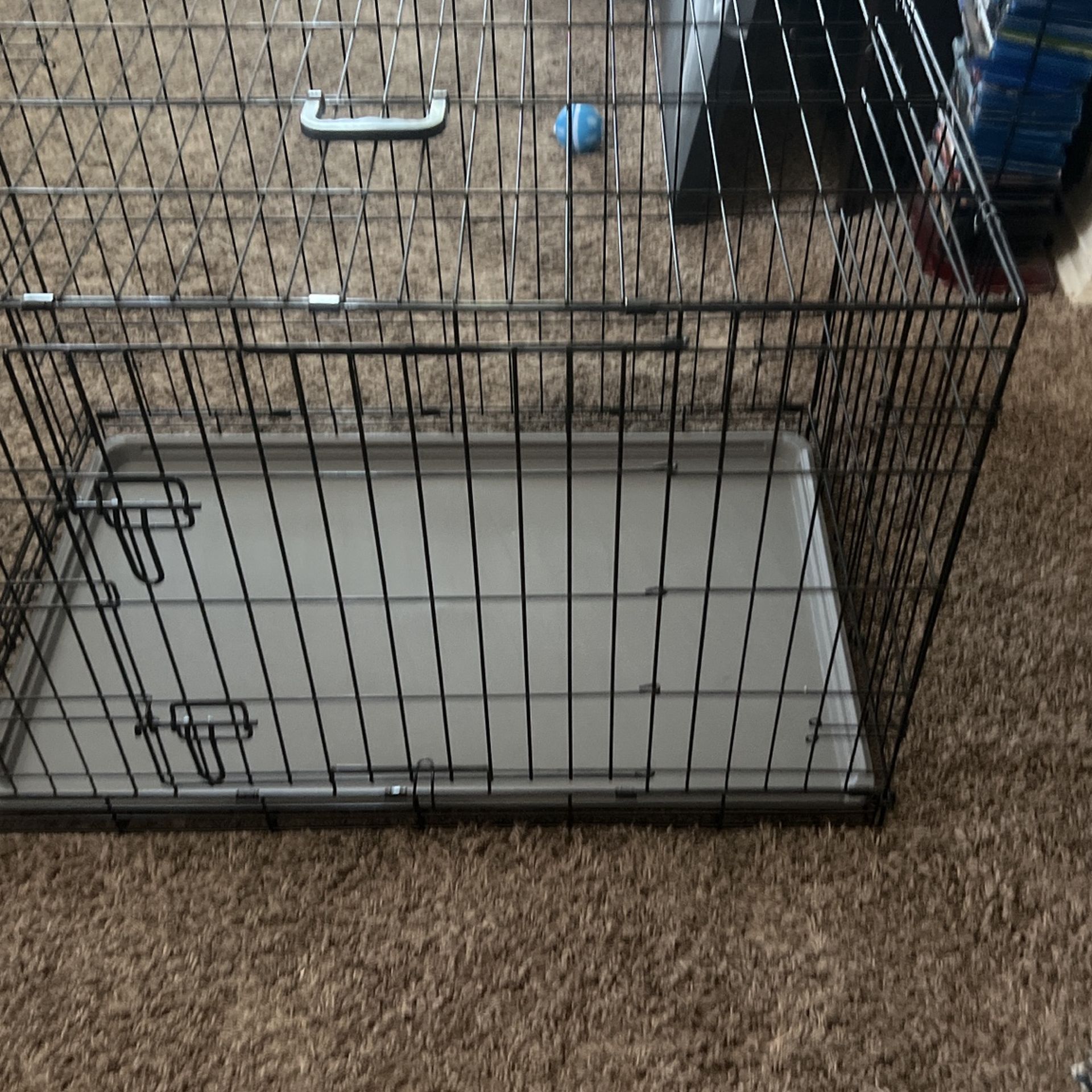 Dog Crate