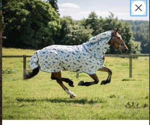Horseware by Ireland