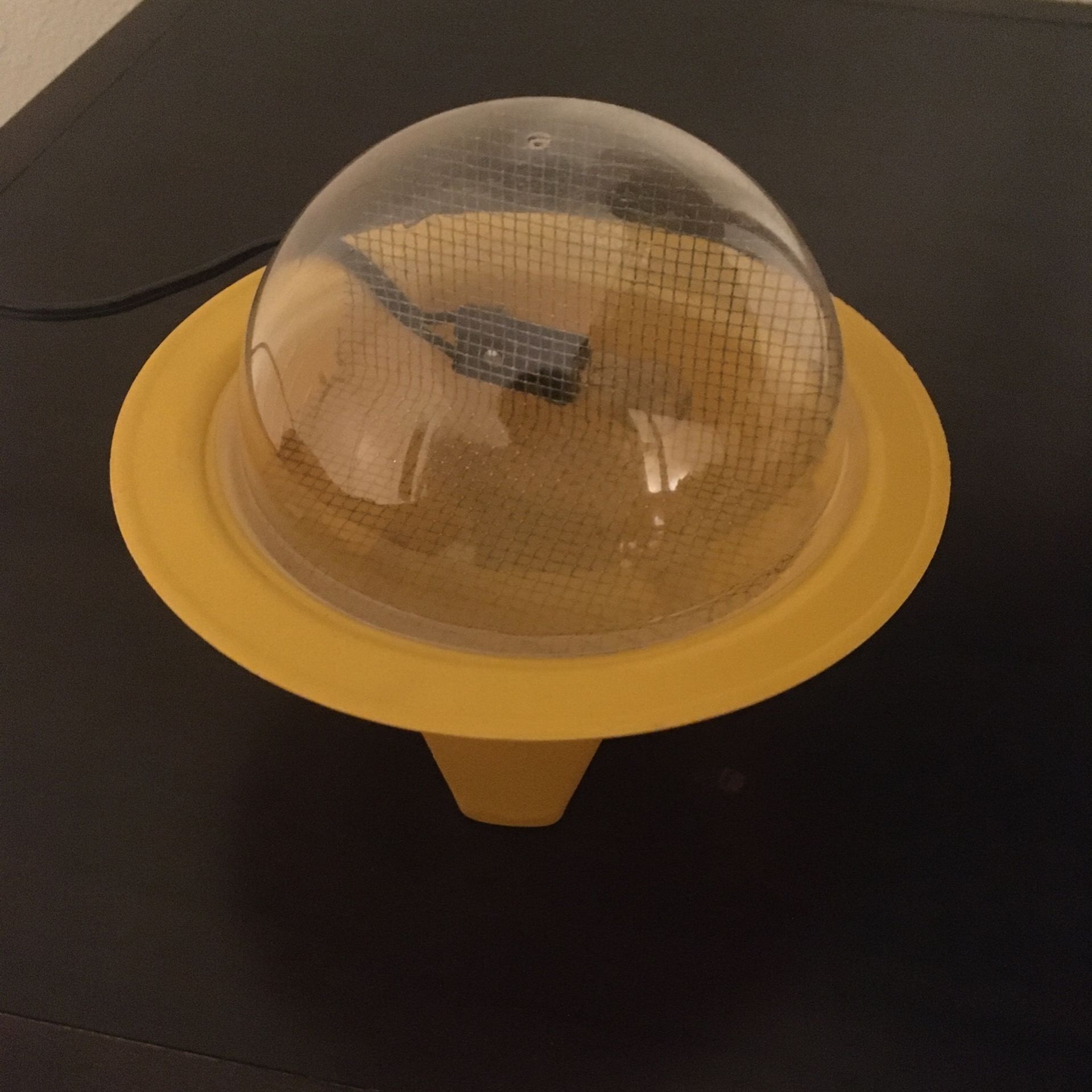 Incubator