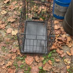  Small Carrier 25 Dollars 