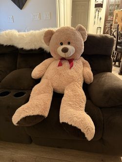 Teddy Bear