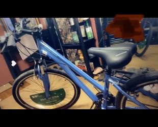 Schwinn Bike