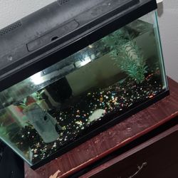 Fish Tank
