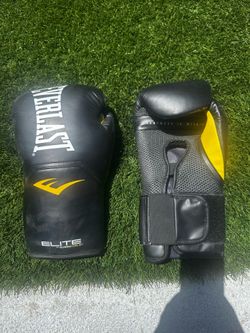 Everlast Elite 2 Boxing Gloves