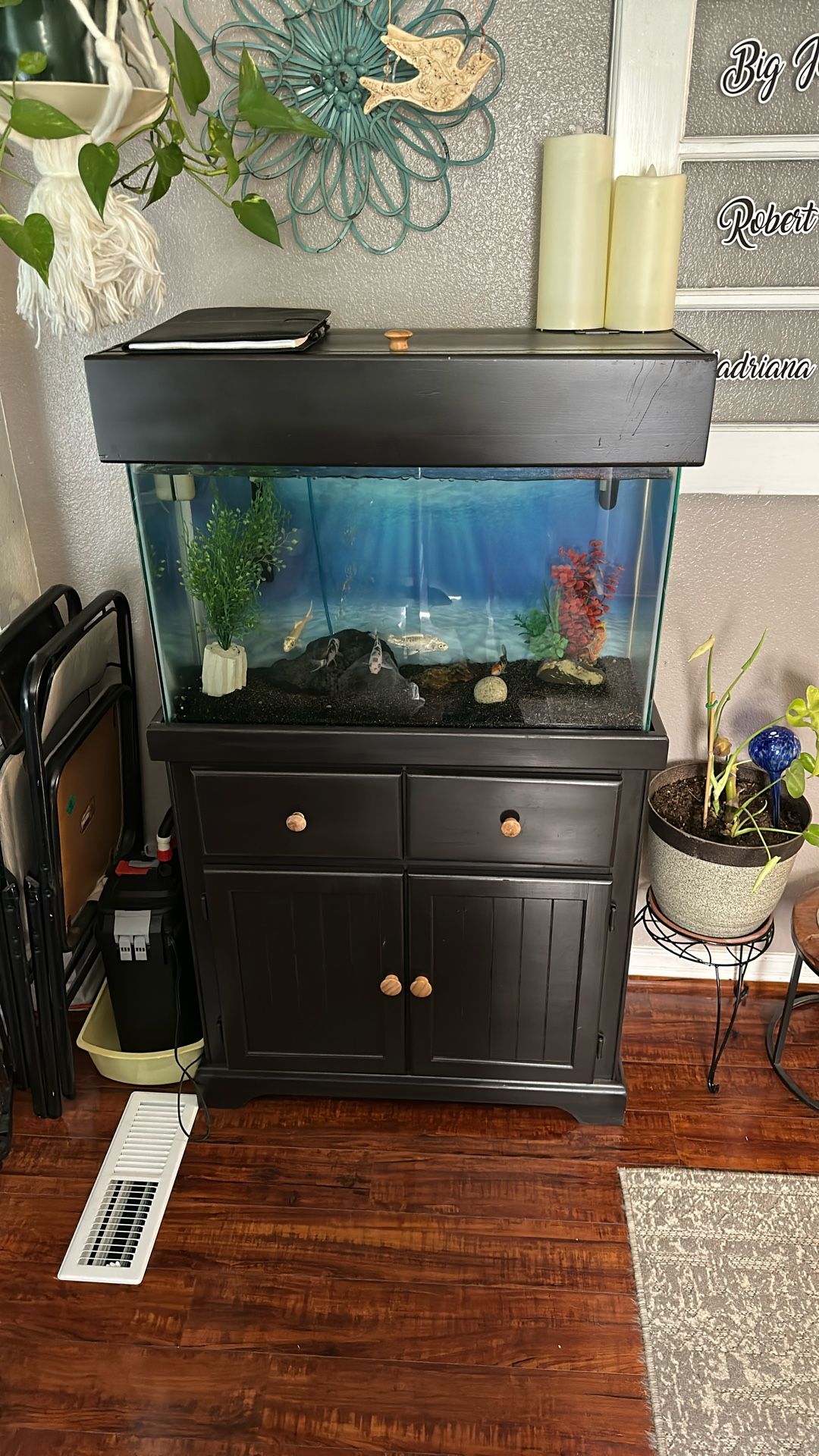 29 Gallon Fish Tank Set Up
