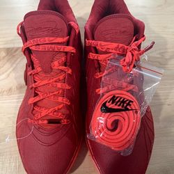 Nike LeBron XXI Size 13 US Men's 