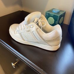 DVS Men’s Size 12