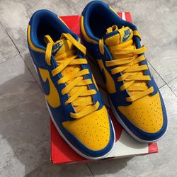 Jordan N Dunk 
