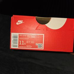 Boys Nike Dunk Low (Ps)