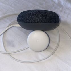 Google Smart Speaker 