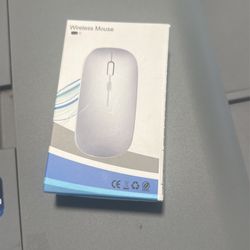 Wireless Mouse Light Green Brand New