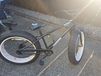 Fat tire bike