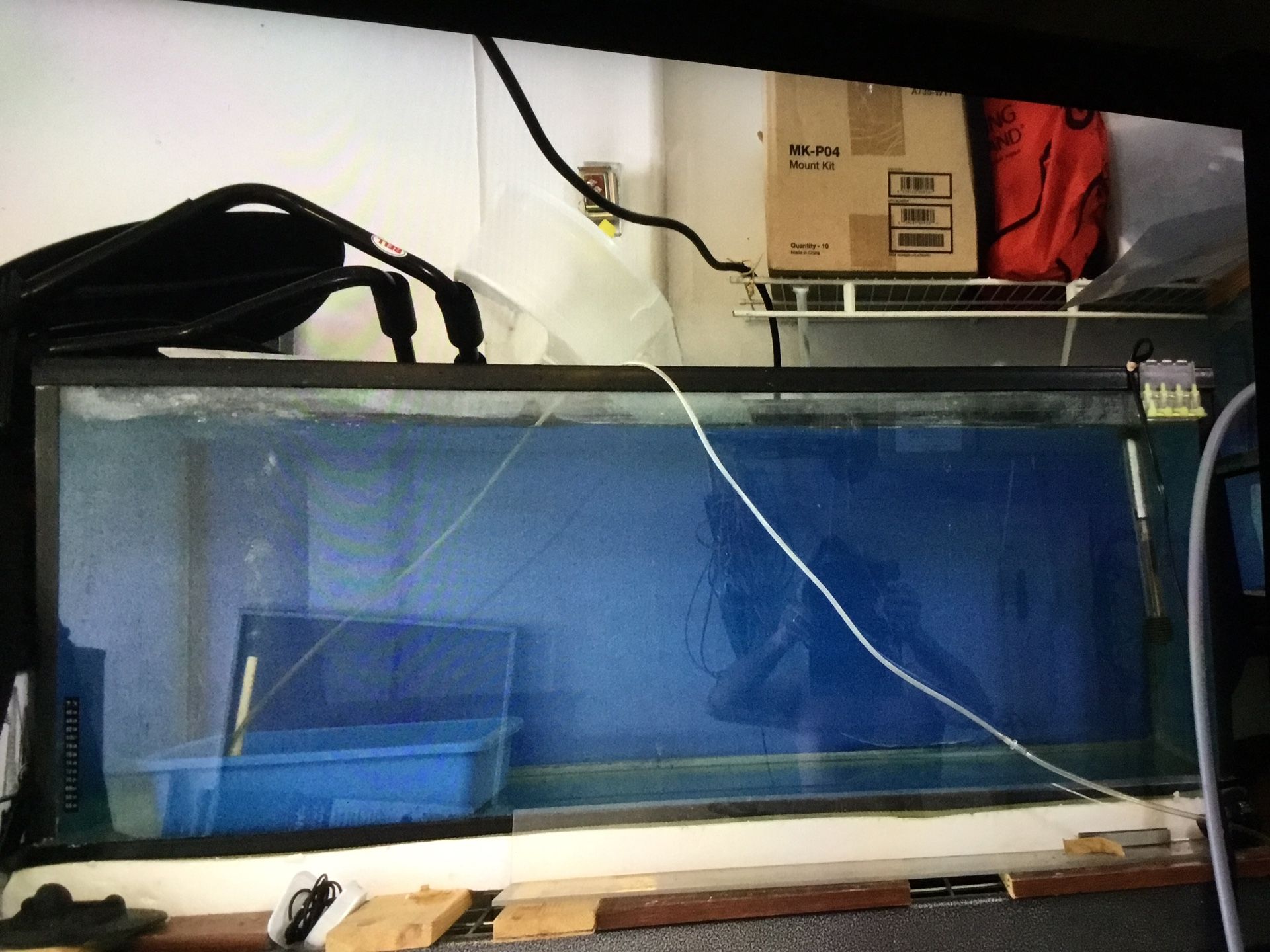 Aquarium 55 g And Filter 