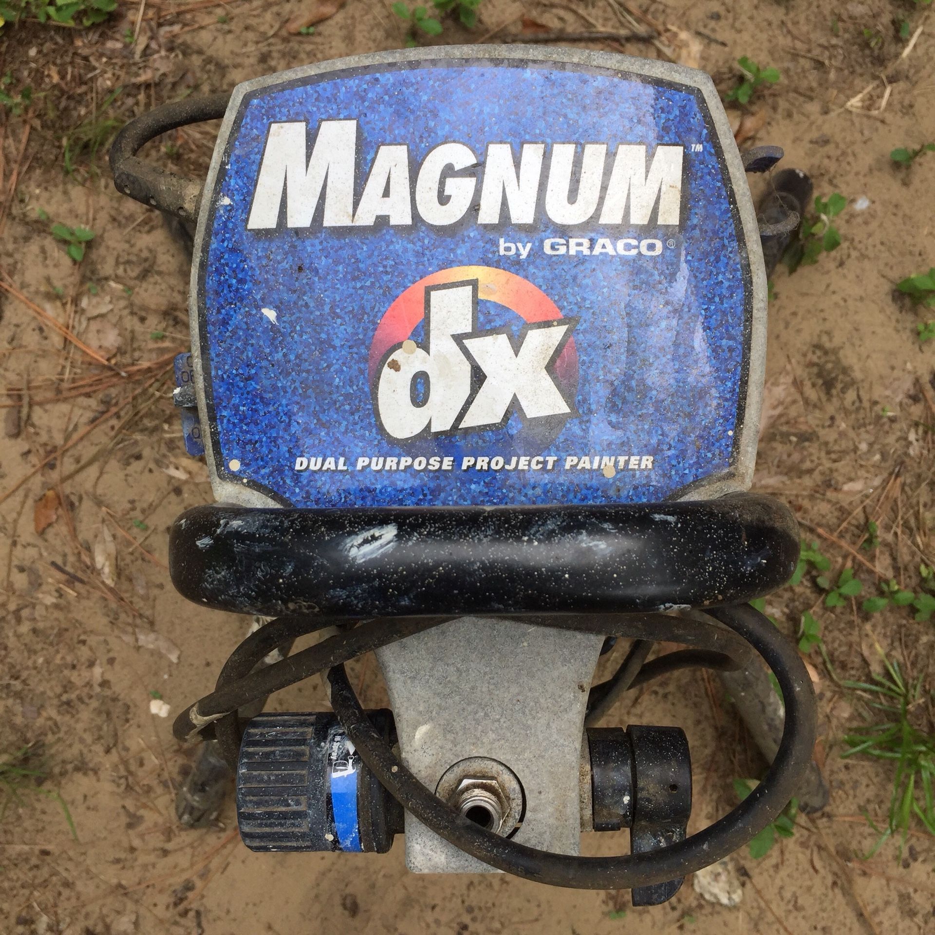 Magnum dx dual purpose project painter deals