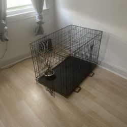 Dog Large Cage 20$