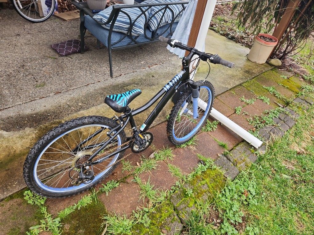 Kids Mountain Bike
