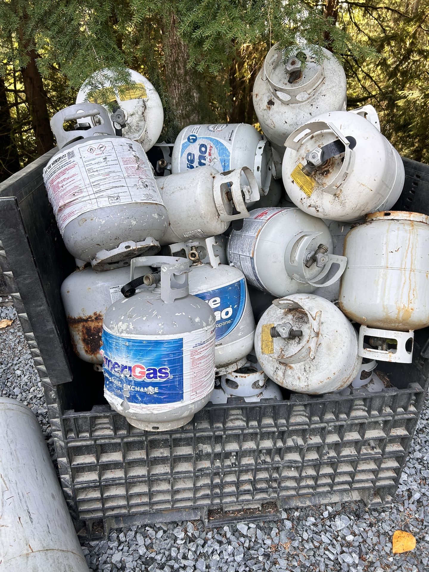 Propane Tanks All For 150